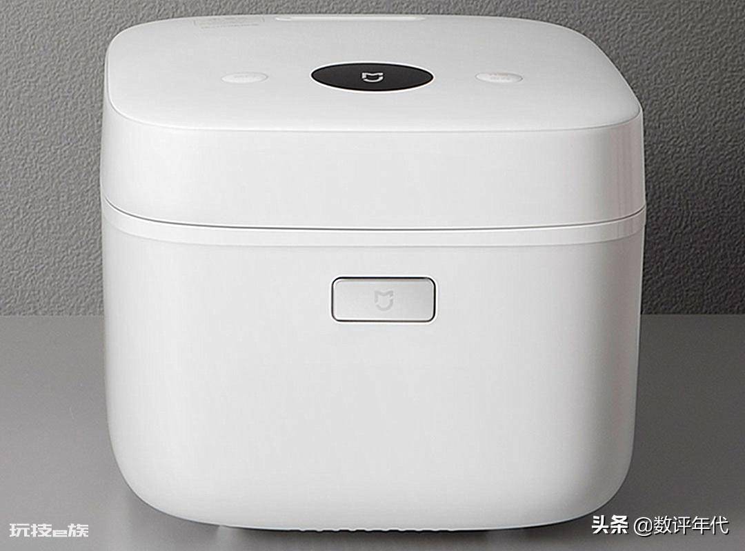 电饭煲哪个品牌好(五大质量好且耐用的电饭煲品牌介绍)-图片9